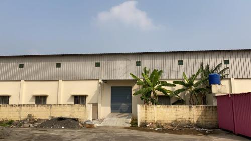 warehouse-19